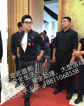 河北国内保镖服务